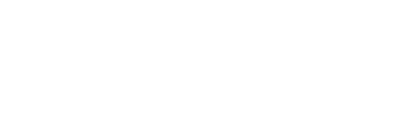 Logo BlackBird