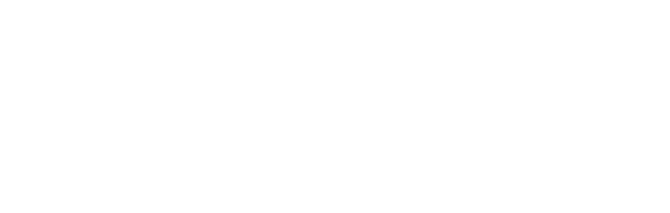 Logo Eleiva